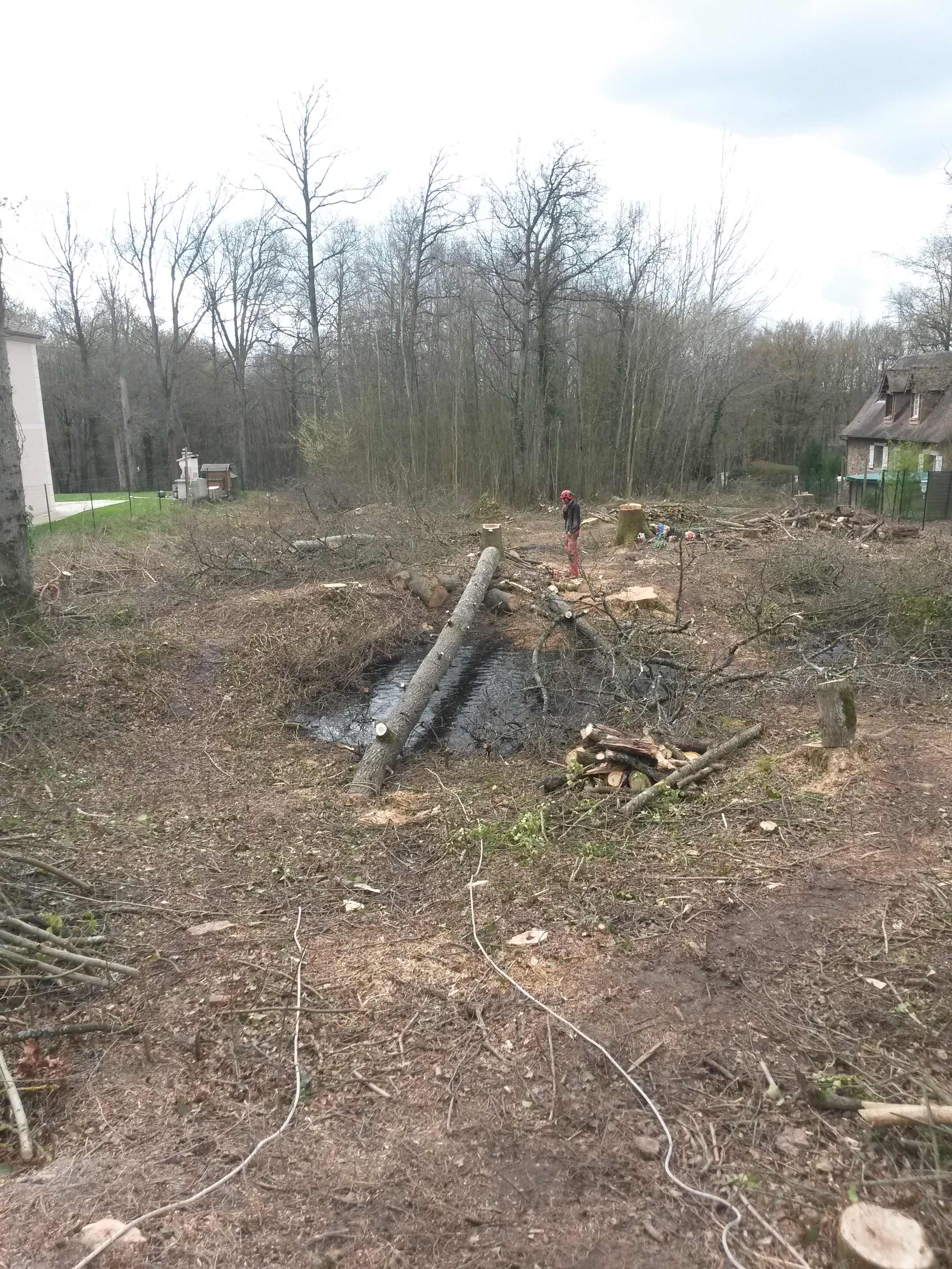 elagage abattage Mouroux 77120